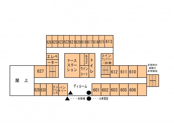 ６階