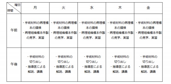 病理診断科